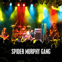 Spider Murphy Gang